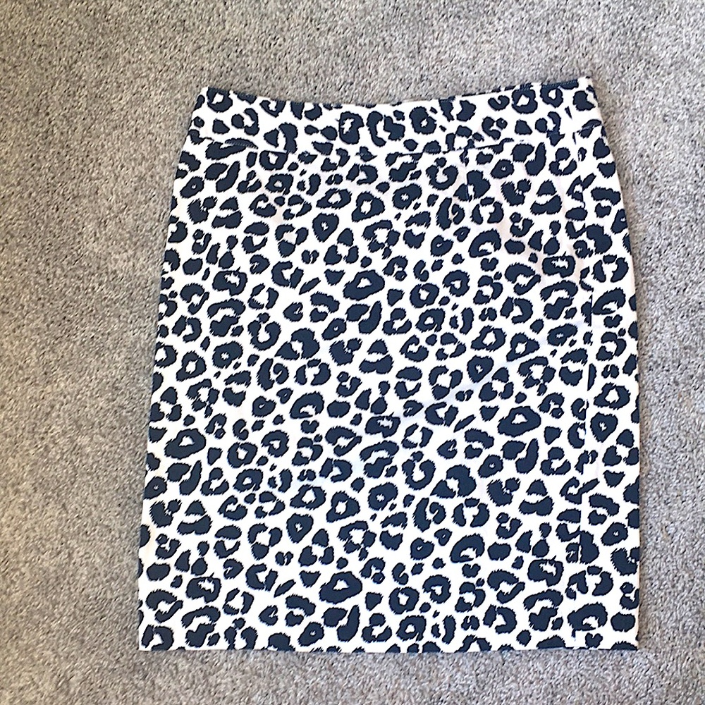 Pencil Skirt